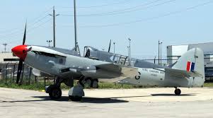 Image result for Fareham Fireflys Yc