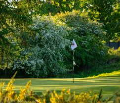 Image result for Largs Golf Club