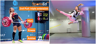 Image result for Taekwondo Athletes Program USA