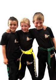 Image result for Norfolk Karate