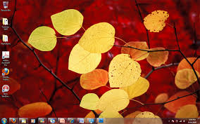 Image result for маскот Windows 7