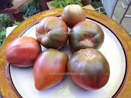 Afbeeldingsresultaat voor black oxheart tomato