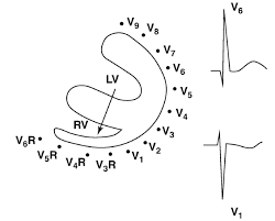 Image result for  v    q