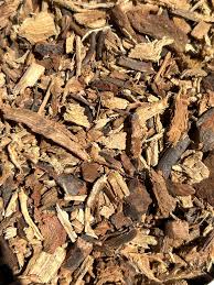 Attēlu rezultāti vaicājumam “Hydrangea arborescens subsp. discolor”