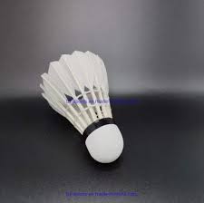 Image result for Linton Badminton Furies Badminton Club