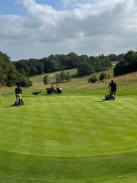 Image result for Guildford Gold Club