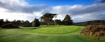 Image result for Hindhead Golf Club