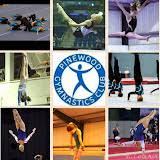 Image result for Pinewood Gymnastics Club