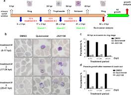 Attēlu rezultāti vaicājumam “Diderma hemisphaericum plasmodium”