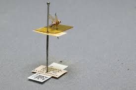 Attēlu rezultāti vaicājumam “Tetanops myopina”