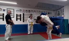 Image result for Beeches Martial Arts