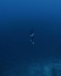 Image result for Deep Blue Diving