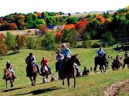 Image result for Lakes Riding Club