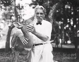 Image result for albert schweitzer