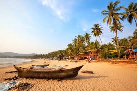 Image result for goa beaches
