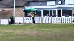 Image result for Three Bridges Cricket Club