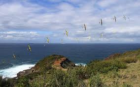 Image result for General Tomfoolery Slope Soarers