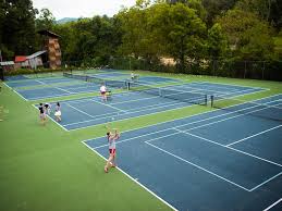 Image result for Reading Ladies Summer Badminton Club