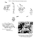 Beef Hormone Controversy