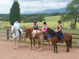 Image result for Fife Riding Club