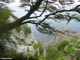 Image result for stevns klint