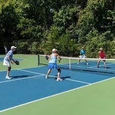 Image result for 1st New Forest Pickleball Club