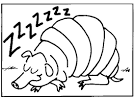 Armadillo coloring page