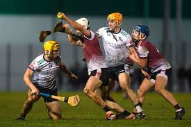 Image result for University Of Limerick Gaa Hurling Club
