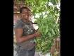      "girls from jamaica Sheffield"