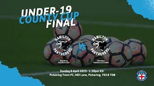 Image result for Hamilton Panthers Association Football Club