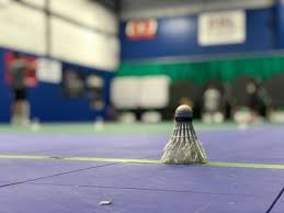 Image result for Plains Badminton Club