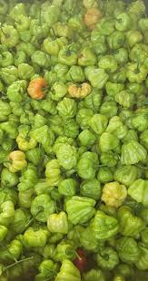 Afbeeldingsresultaat voor aji dulce sweet pepper