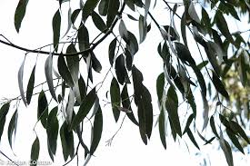 Image result for Devon & Exeter Squash Club