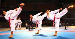 Image result for Uwe Karate Club