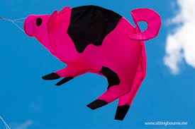 Image result for Kent Kite Flyers Club