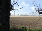 Dust bowl Norfolk. - via Daymix