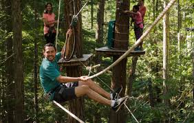 Image result for Wey Adventure Group