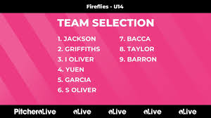 Image result for Surrey Heath Netball Club