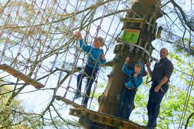 Image result for Go Ape! Grizedale