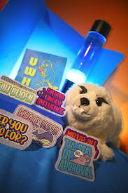 Image result for Stirling University Underwater Hockey Club