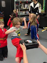 Image result for Bristol Dojo MMA