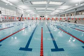 Image result for Launceston Swimming Club, Cornwall