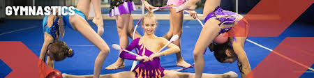 Image result for Flyin Scots Aerobic Gymnastics Club