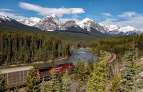 Résultat de recherche d'images pour "morant's curve"