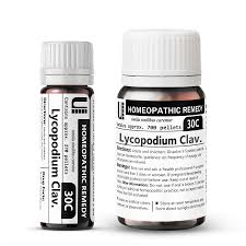 Attēlu rezultāti vaicājumam “Lycopodium clavatum”