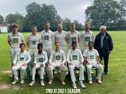 Image result for Three Bridges Cricket Club