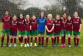 Image result for Caversham Trent Football Club