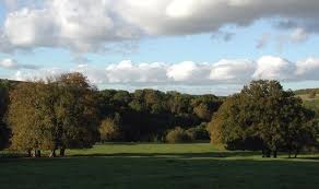 Image result for Selby Londesborough Cc