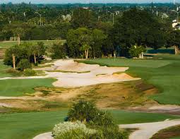 Image result for Pachesham Park Golf Centre