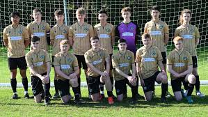 Image result for Brendon Bees Junior Football Club